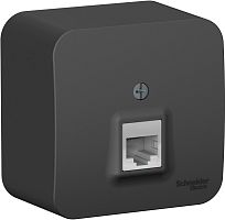 Розетка компьютерная накладная Systeme Electric Blanca 1-м. RJ45 5e антрацит картинка